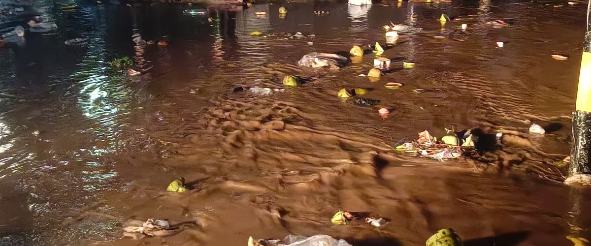 मूसलाधार बारिश ने खोली शेखपुरा की ड्रेनेज व्यवस्था की पोल, शहर की बिगड़ी सूरत